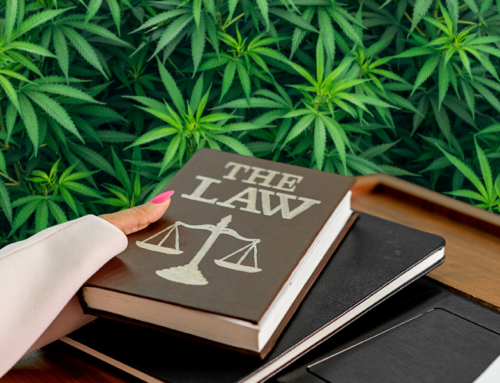 The hidden costs of cannabis legalization: a 10-year analysis of medical and recreational cannabis laws and its health impacts